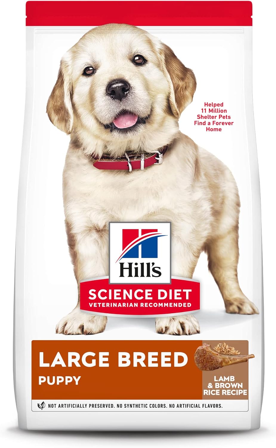 Hill’s Science Diet Puppy Large Breed Lamb Meal & Brown Rice Recipe Dry Dog Food