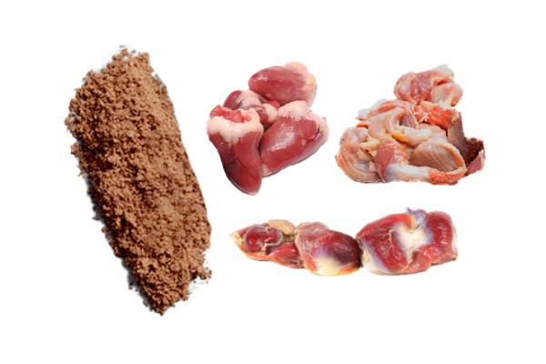 Chicken By-Product Meal