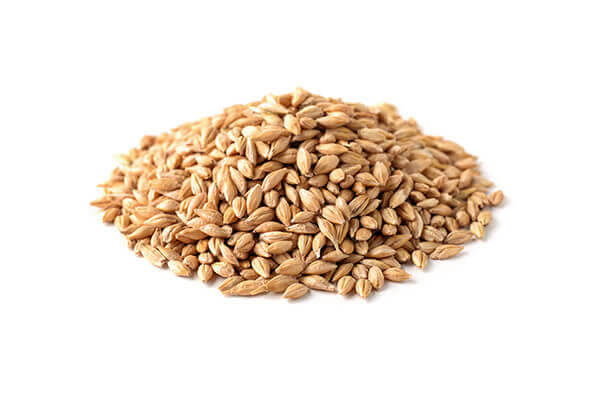 Dehulled Barley