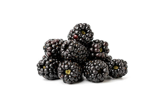 Blackberries