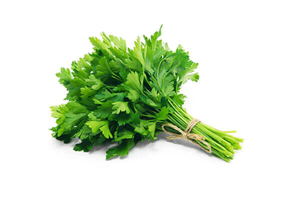 Parsley Leaf