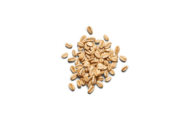 Rolled Oats