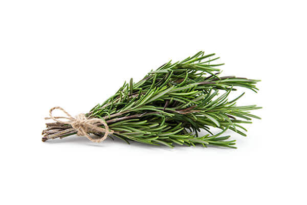 Rosemary