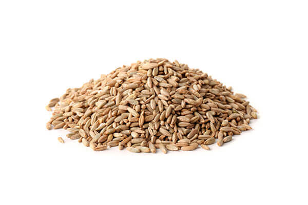 Organic Rye
