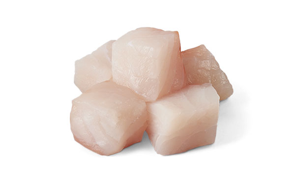 White Fish