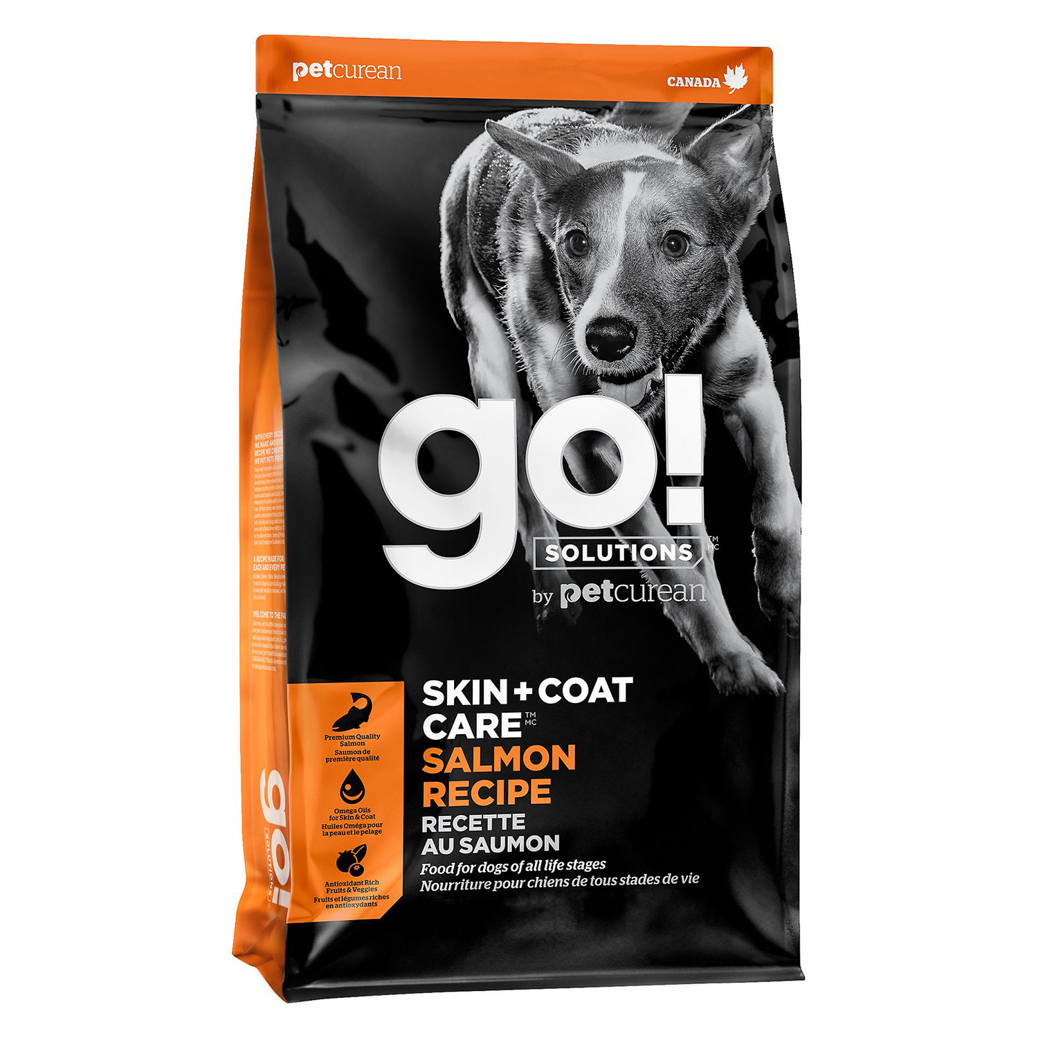 Go! Solutions Skin + Coat Care Salmon Recipe Dry Dog Food