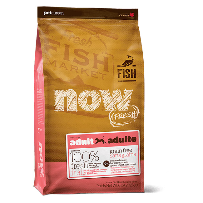 Now Fresh Grain-Free Fish Recipe for Adult Dogs Dry Dog Food