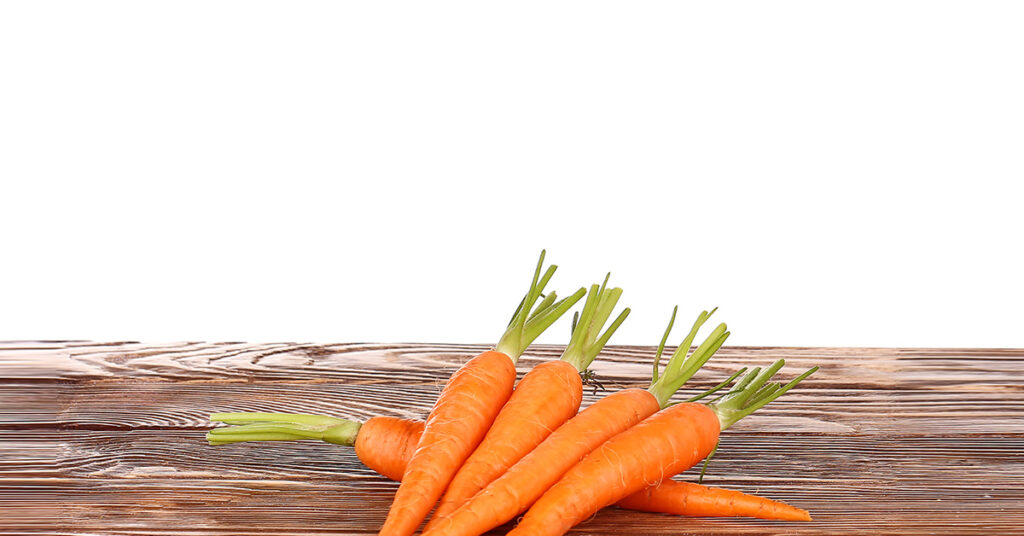 Dogs and Carrots: What You Need To Know